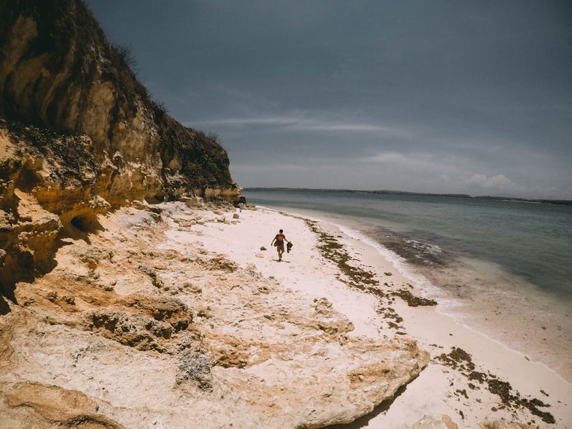 Orang Berjalan Di Pantai   Foto Stok Gratis