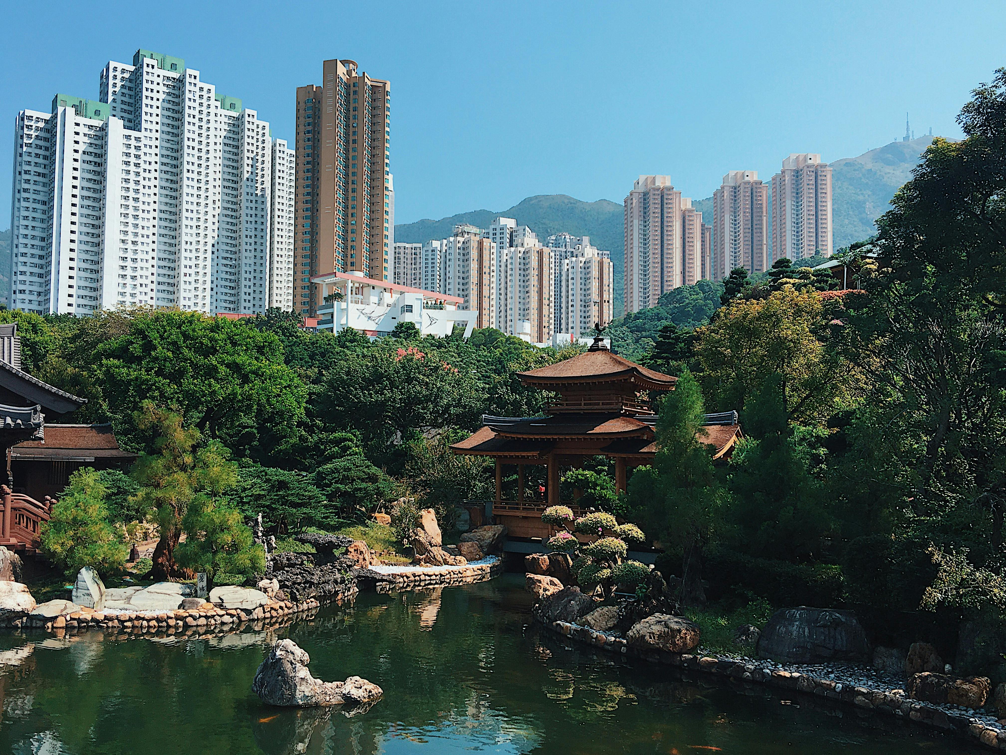 宁静的城市公园里，池塘坐落于传统建筑与蓝天下的摩天大楼之间