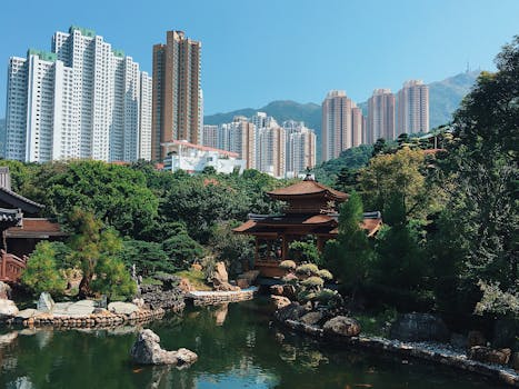 宁静的城市公园里，池塘坐落于传统建筑与蓝天下的摩天大楼之间