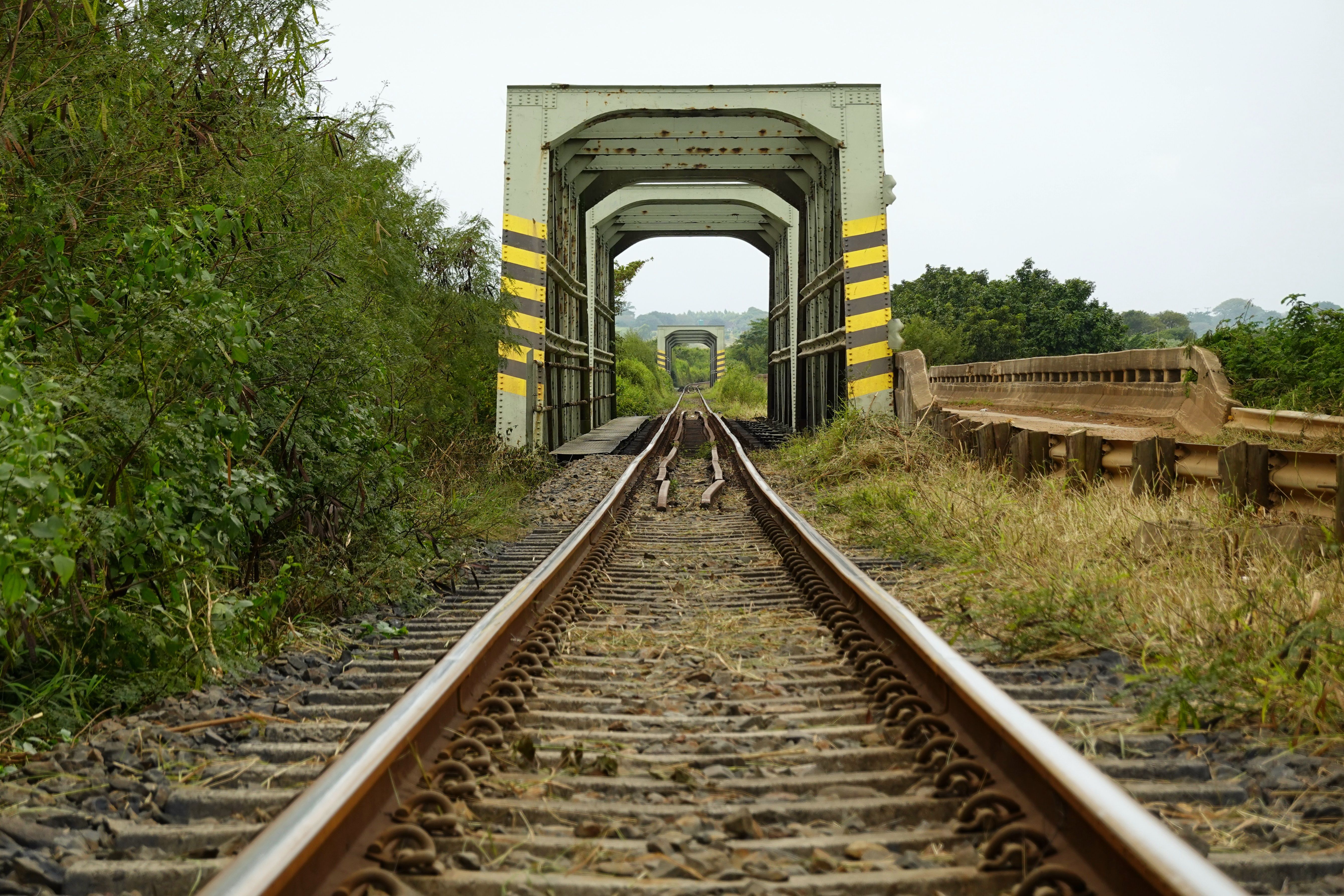 A scenic rural railway bridge with empty tracks, surrounded by lush greenery, showcasing perspective depth.