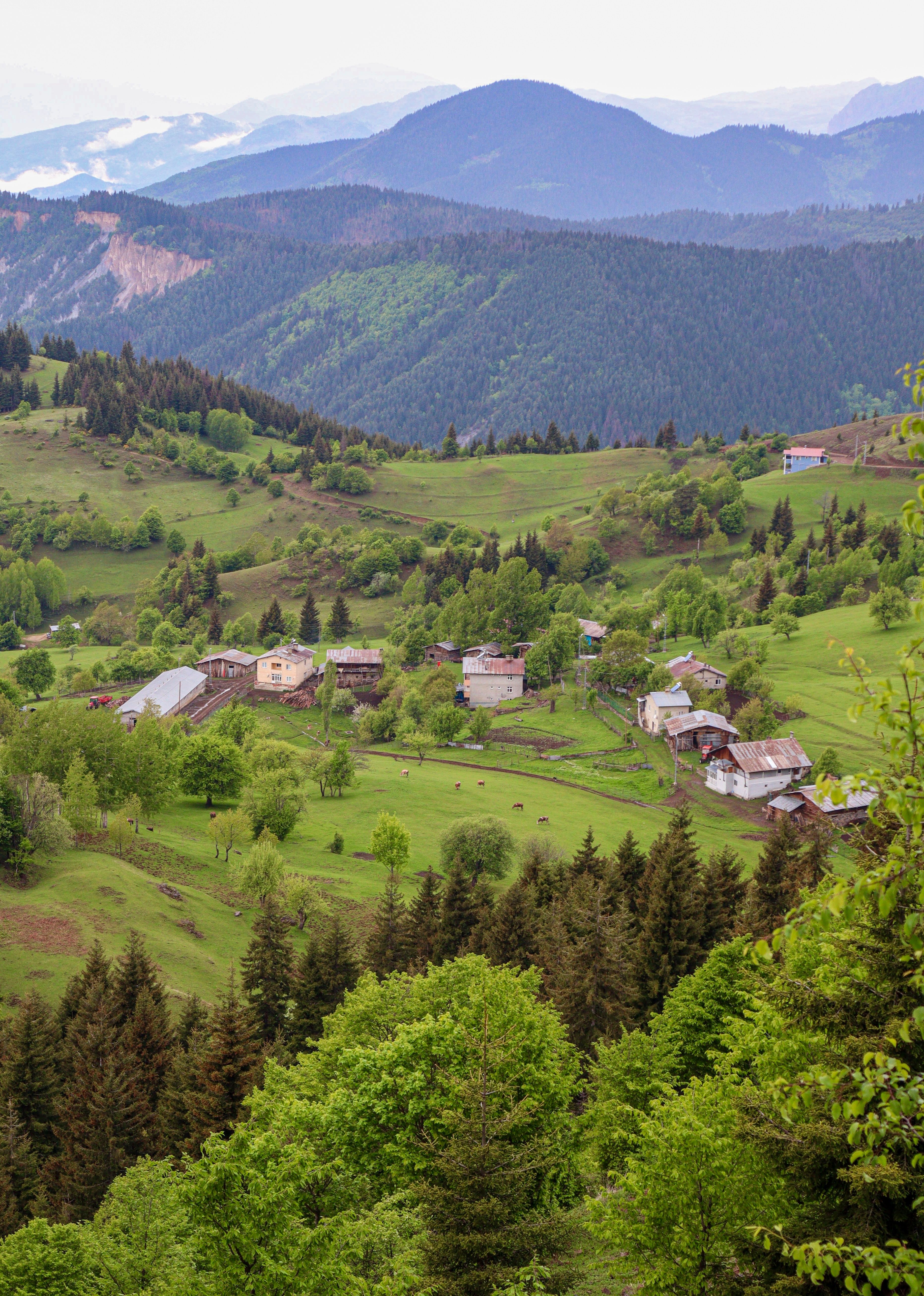 Rural Village and Mount · Free Stock Photo