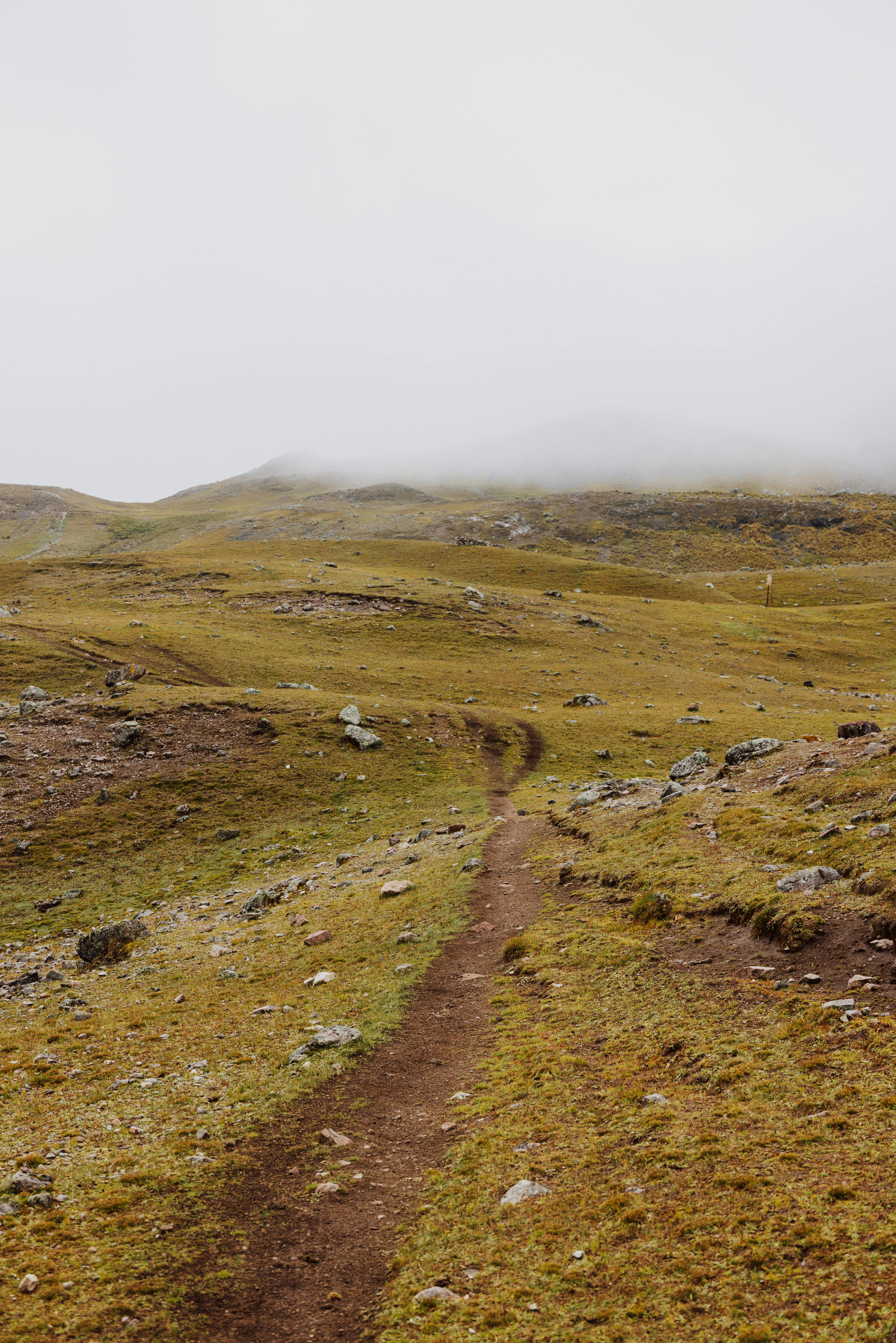 Explore the serene beauty of a winding path in Cusco's misty highlands. Perfect for adventure seekers.