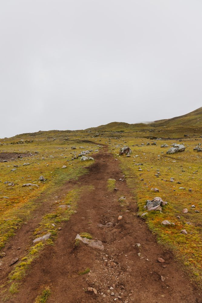 Remote Trail Photos, Download The BEST Free Remote Trail Stock Photos ...