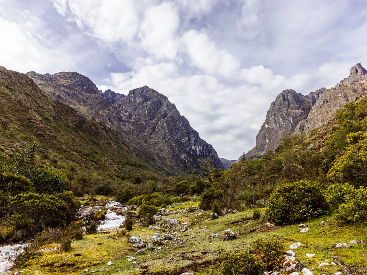 Nature Trips Peru 2