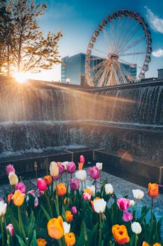 日落时分，郁金香在带摩天轮和瀑布的花园里盛开，充满活力