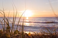 澳大利亚黄金海岸的海滩草前景，映衬着金色的海上日出景色