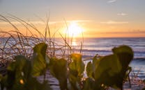 澳大利亚黄金海岸宁静的海滩上，日出时分，沿海植物郁郁葱葱