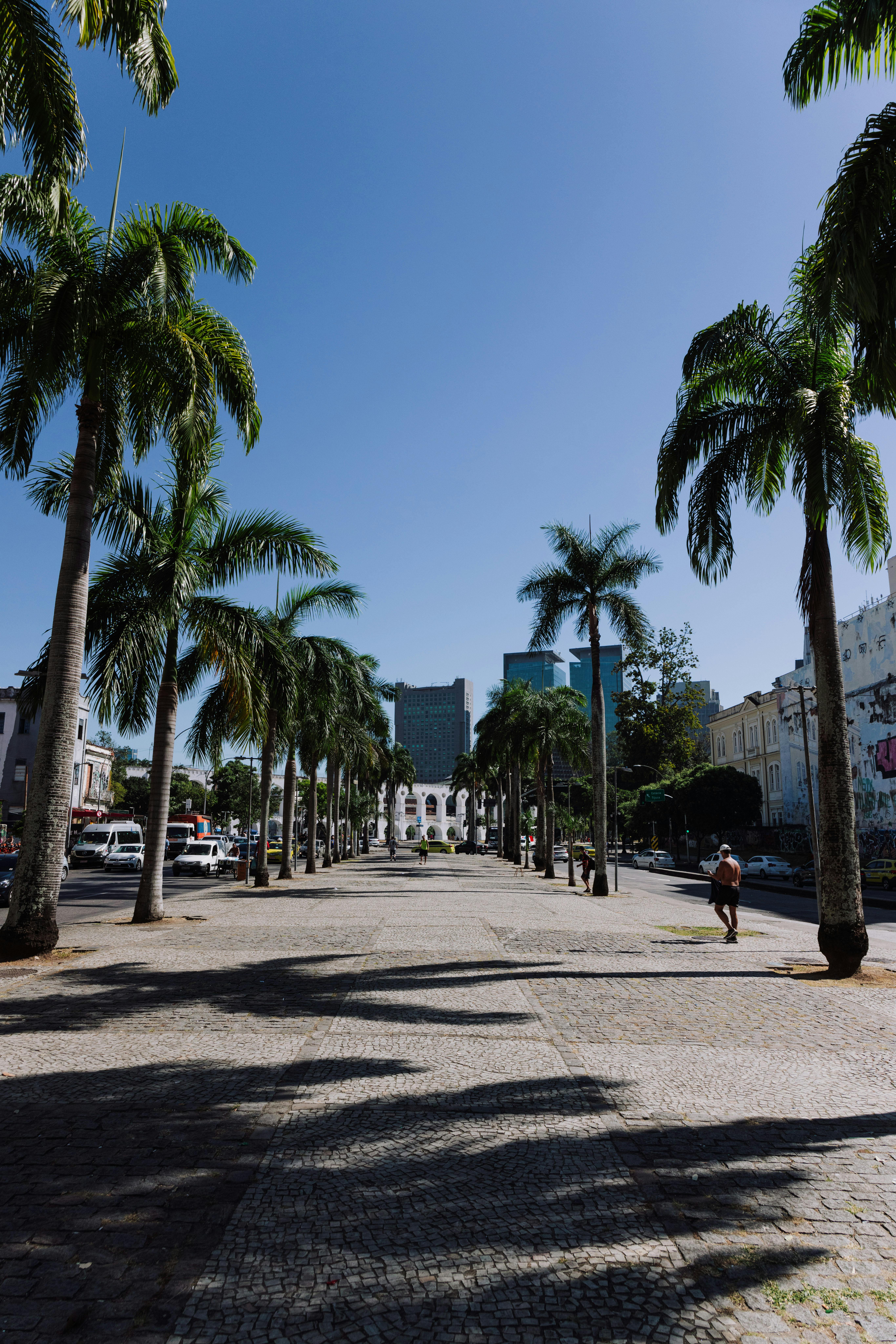 A vibrant view of Rio de Janeiro featuring palm trees lining a sunny urban sidewalk.