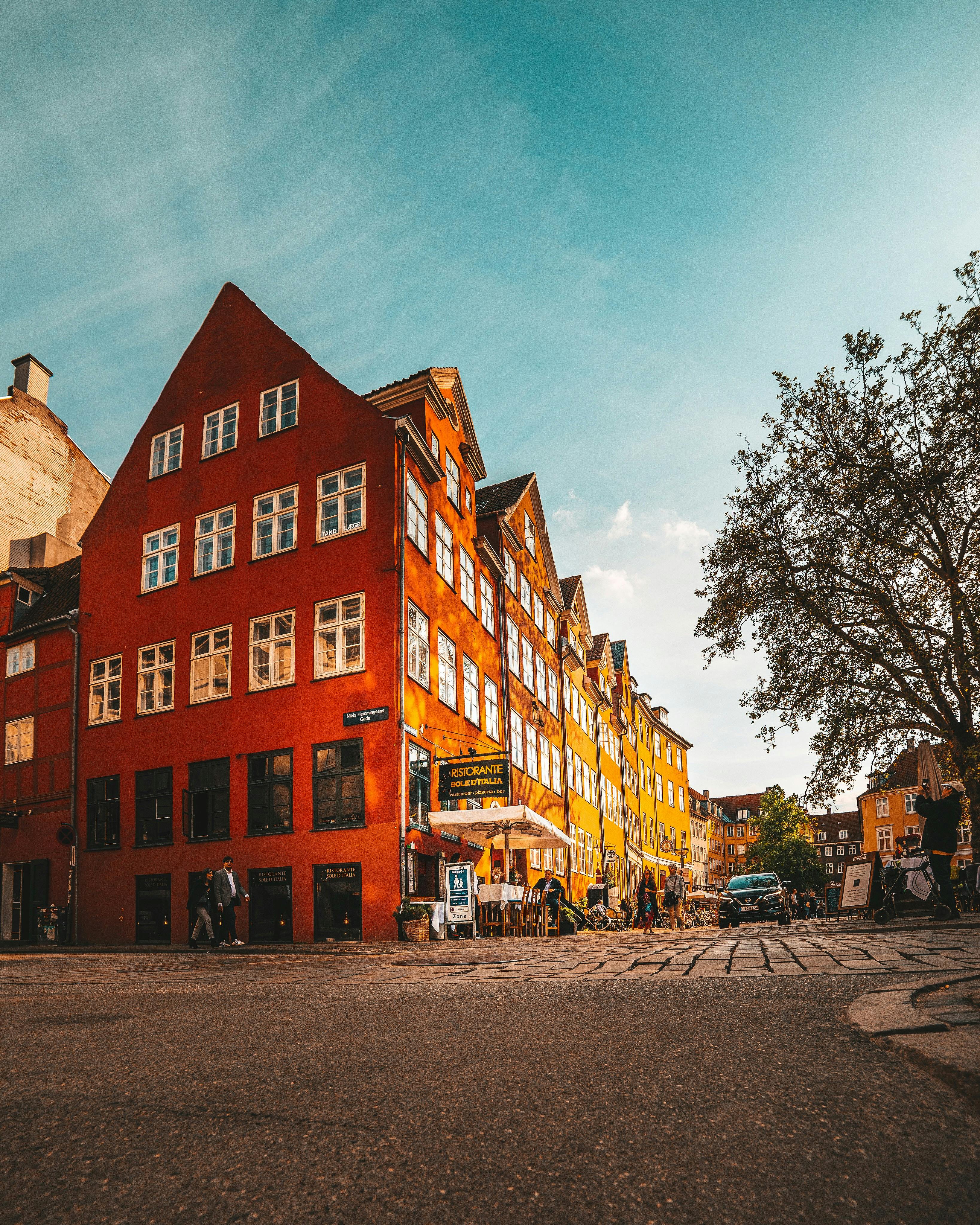 Foto de stock gratuita sobre al aire libre, almacenar, árbol