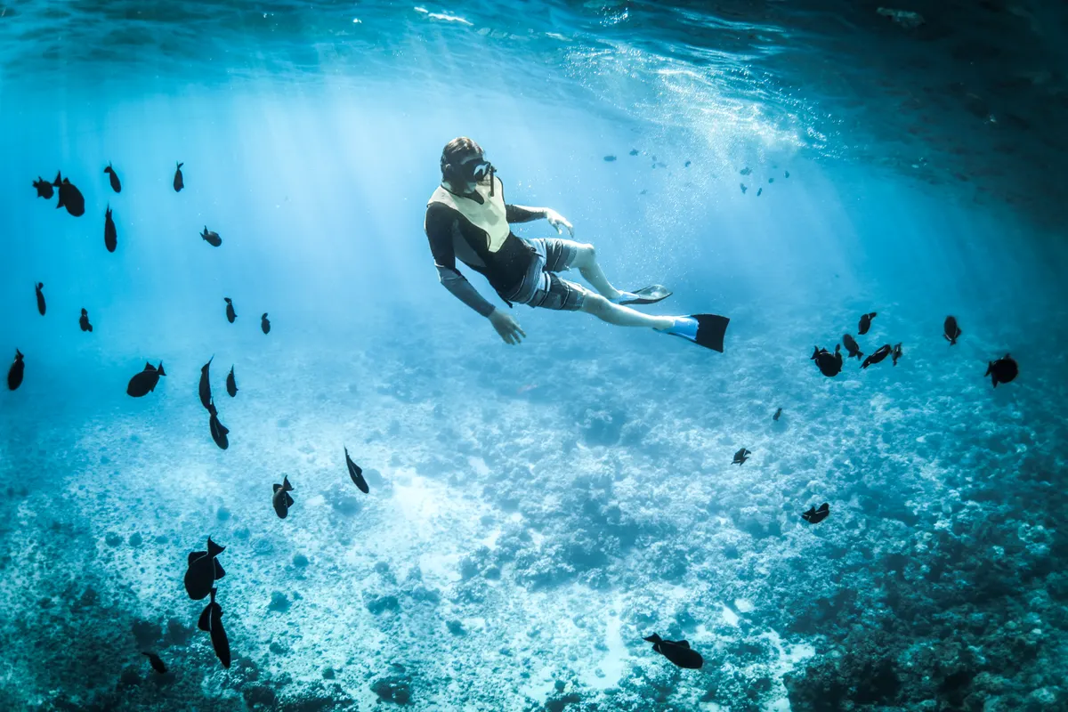 A snorkeler floating among colorful fish over a tropical reef