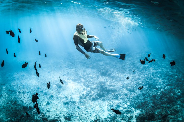 Photo Of A Person Snorkeling