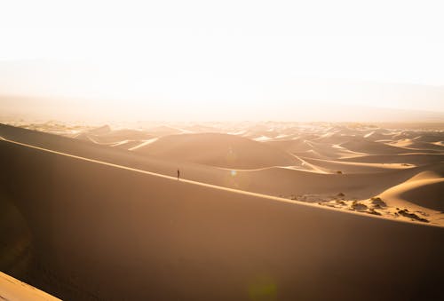 Free Photo of Person Walking on Desert Stock Photo