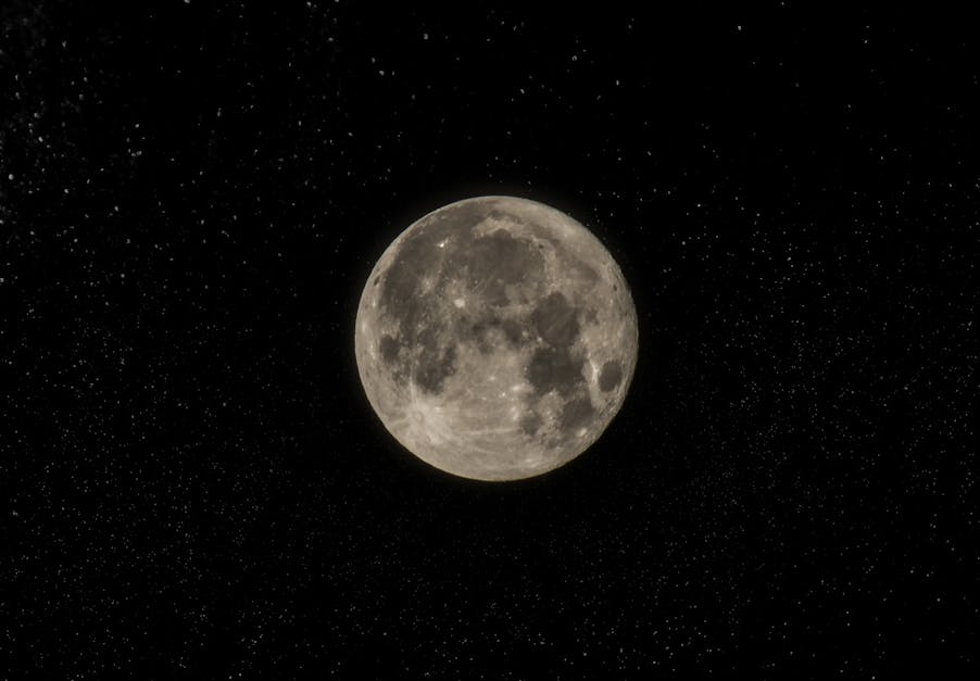 Free stock photo of black, full moon, midnight