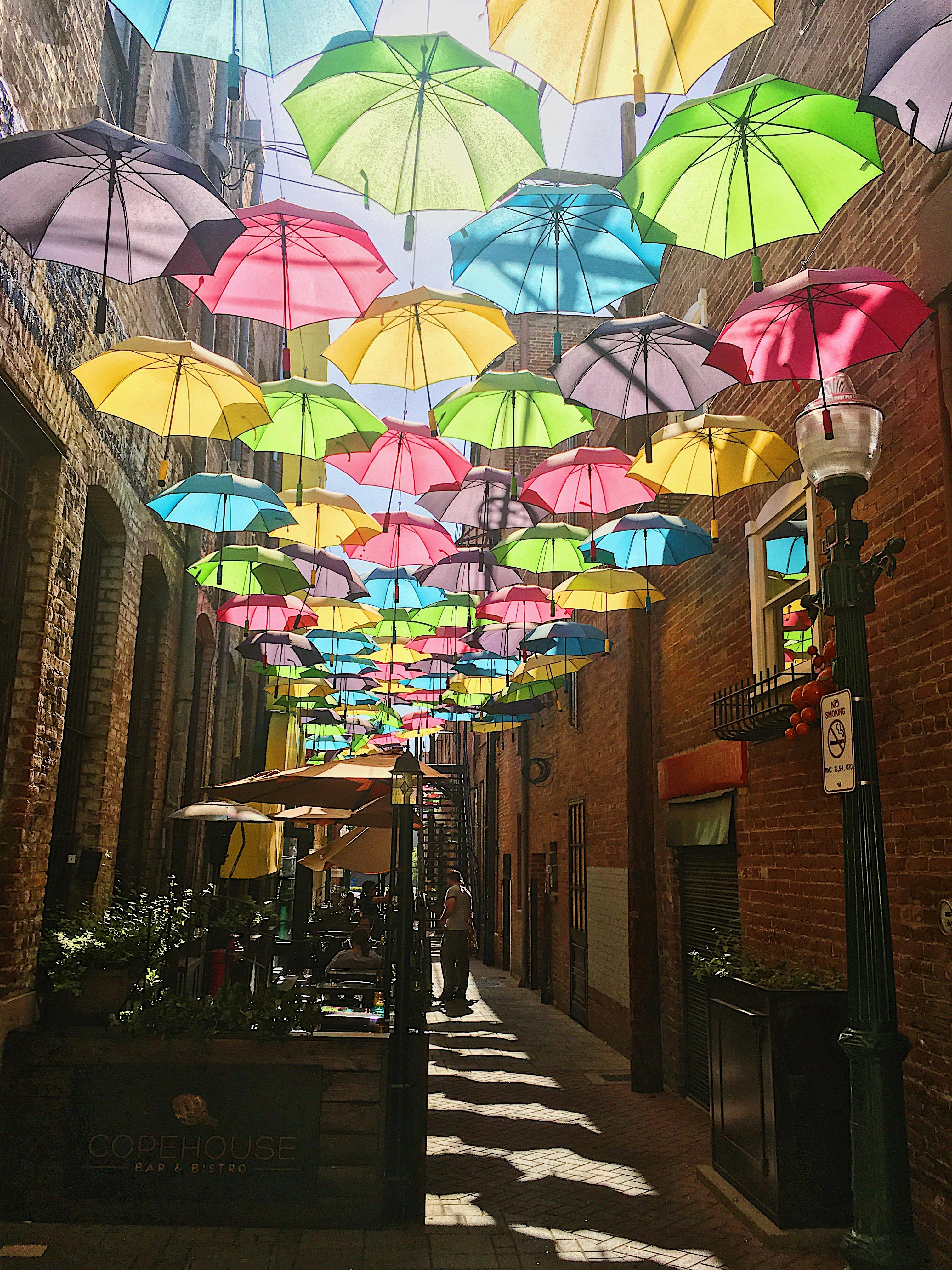 Photo of Colorful Umbrellas Hanging · Free Stock Photo