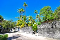 马尔代夫富瓦穆拉的热带街景阳光明媚，棕榈树与蓝天交相辉映