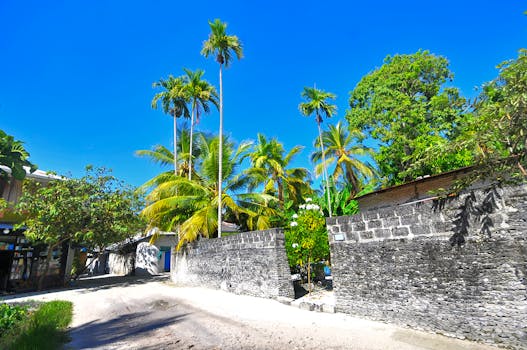 马尔代夫富瓦穆拉的热带街景阳光明媚，棕榈树与蓝天交相辉映