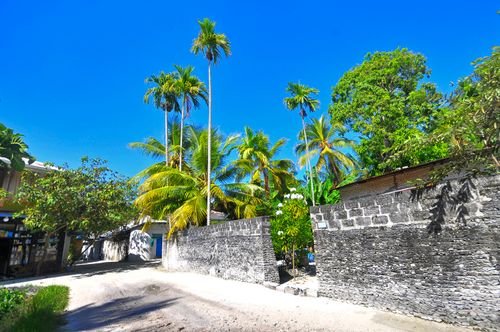 Free Sunny tropical street scene in Fuvahmulah, Maldives with palm trees and vibrant blue sky. Stock Photo