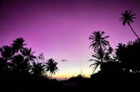 在马尔代夫富瓦穆拉，棕榈树的轮廓映衬着充满活力的天空，日落令人惊叹
