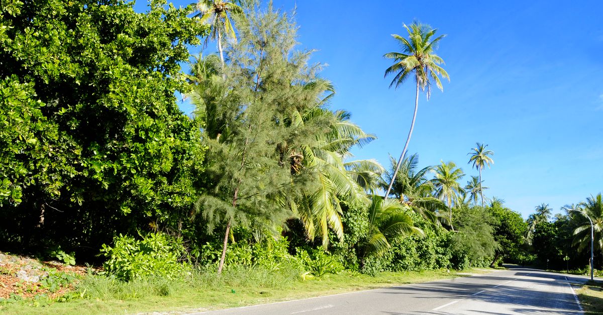 Tree Top Hospital in Maldives Enhances Neurosurgery Services