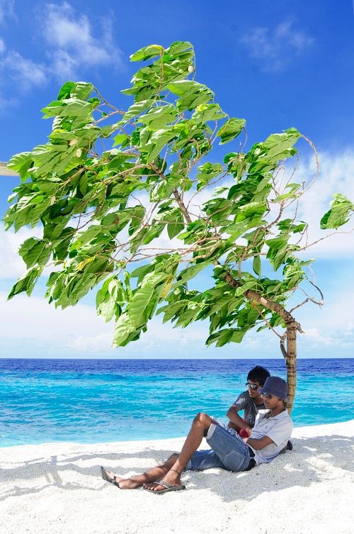 Free Two men relaxing under a tree by the beach in Fuvahmulah, Maldives with clear blue skies and ocean. Stock Photo