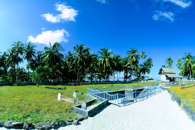 Gray Wooden House Near Coconut Trees