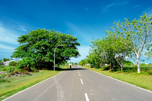 晴朗的一天，马尔代夫富瓦穆拉风景优美的乡村道路两旁绿树成荫