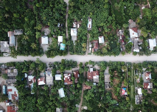 Fotografia Aerea Di Case Circondate Da Alberi Verdi