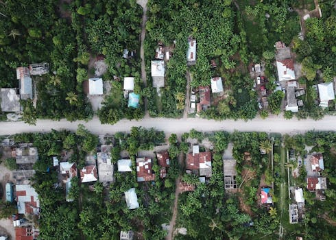 Aerial view of lush rural area in Port-au-Prince, Haiti, showcasing greenery and houses.