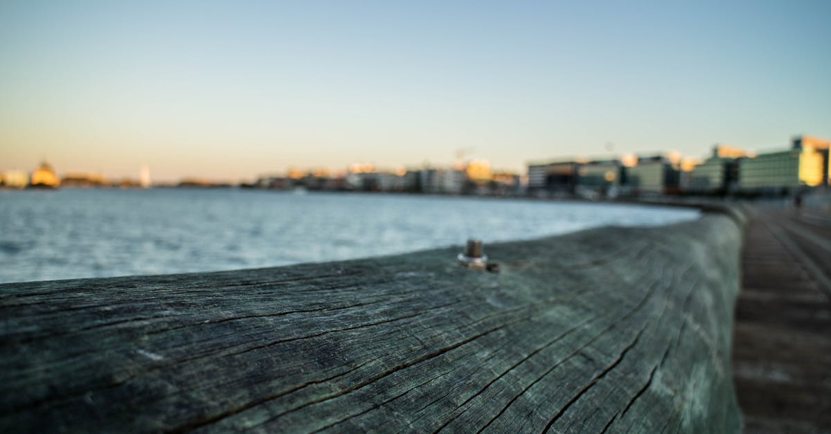 How to water orchids in bark