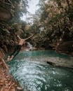 Man Diving at Water Under Green Trees