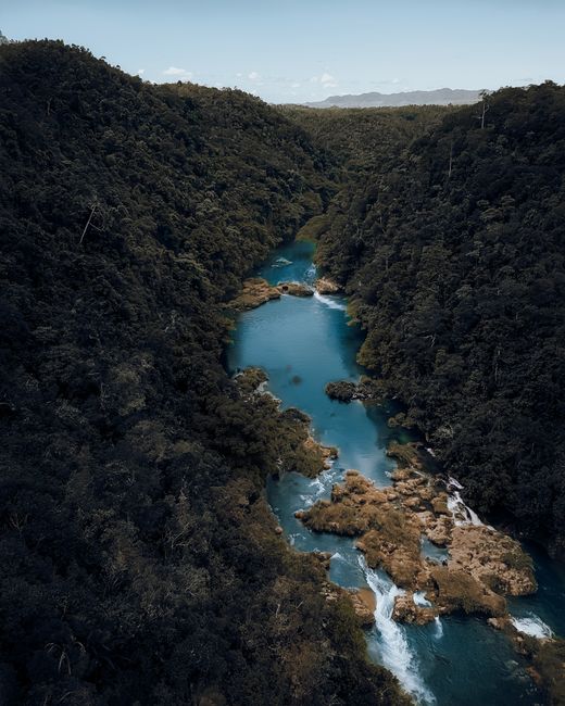 Discover the scenic beauty of Loboc River, surrounded by lush forests in the Philippines.