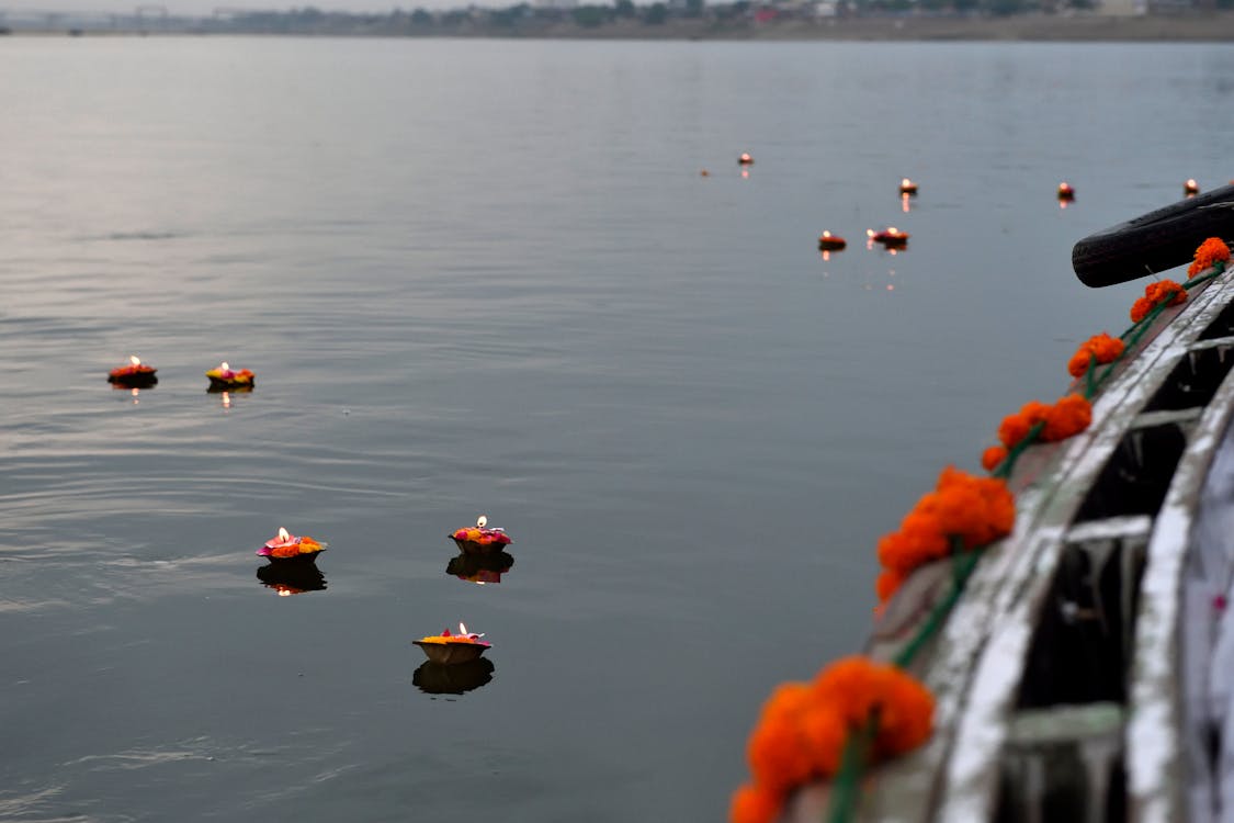 Orange Flowers on Water