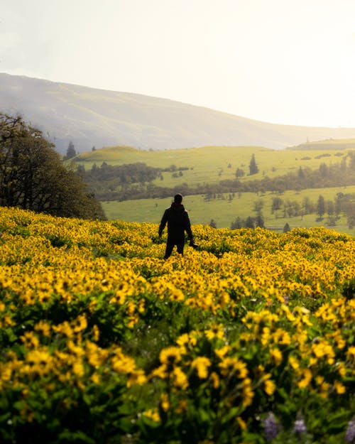 Person Standing On Flower Field