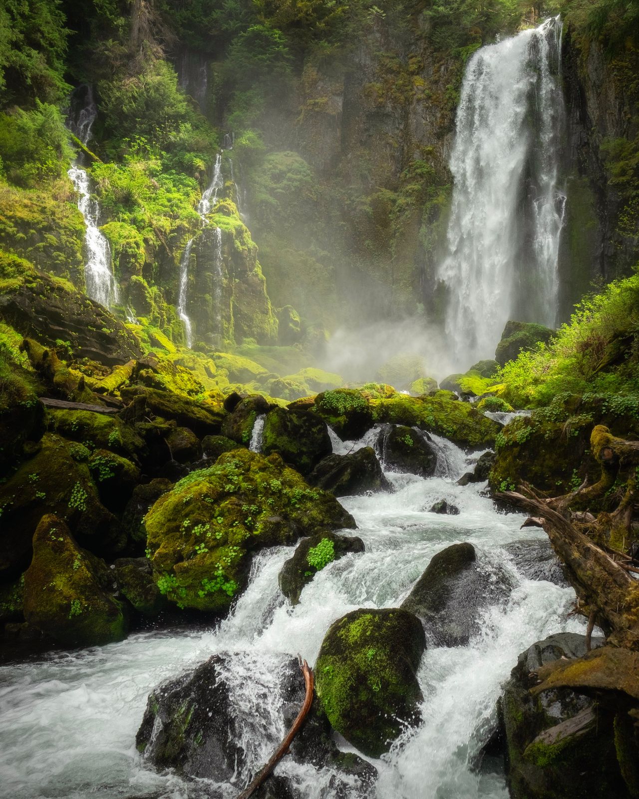 Air terjun yang mengalir melalui hutan berlumut