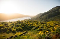 俄勒冈州莫西尔阳光明媚的风景中，花朵与孤独的旅行者非常适合自然和旅行图像