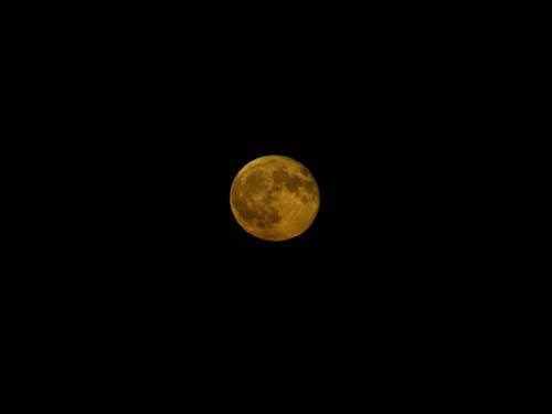 晚上, 月亮, 血月亮 的 免费素材图片