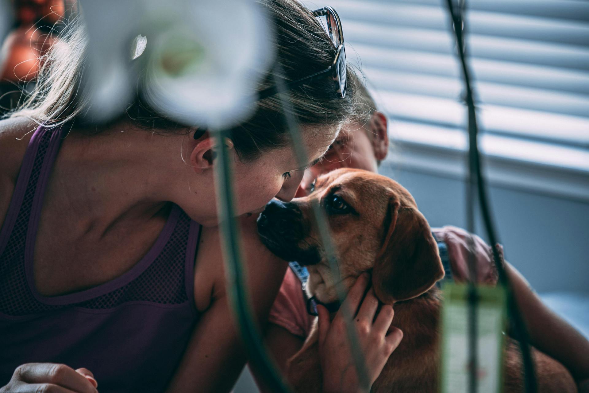 Photo of Woman Kissing a Dog