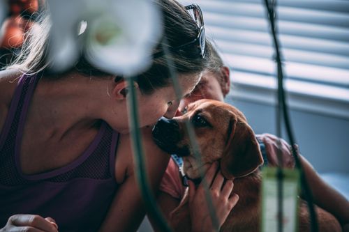 Free A woman affectionately cuddles her dog indoors, showcasing a tender bond. Stock Photo