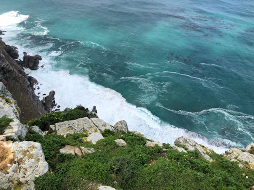 High Angle Photo of Beach