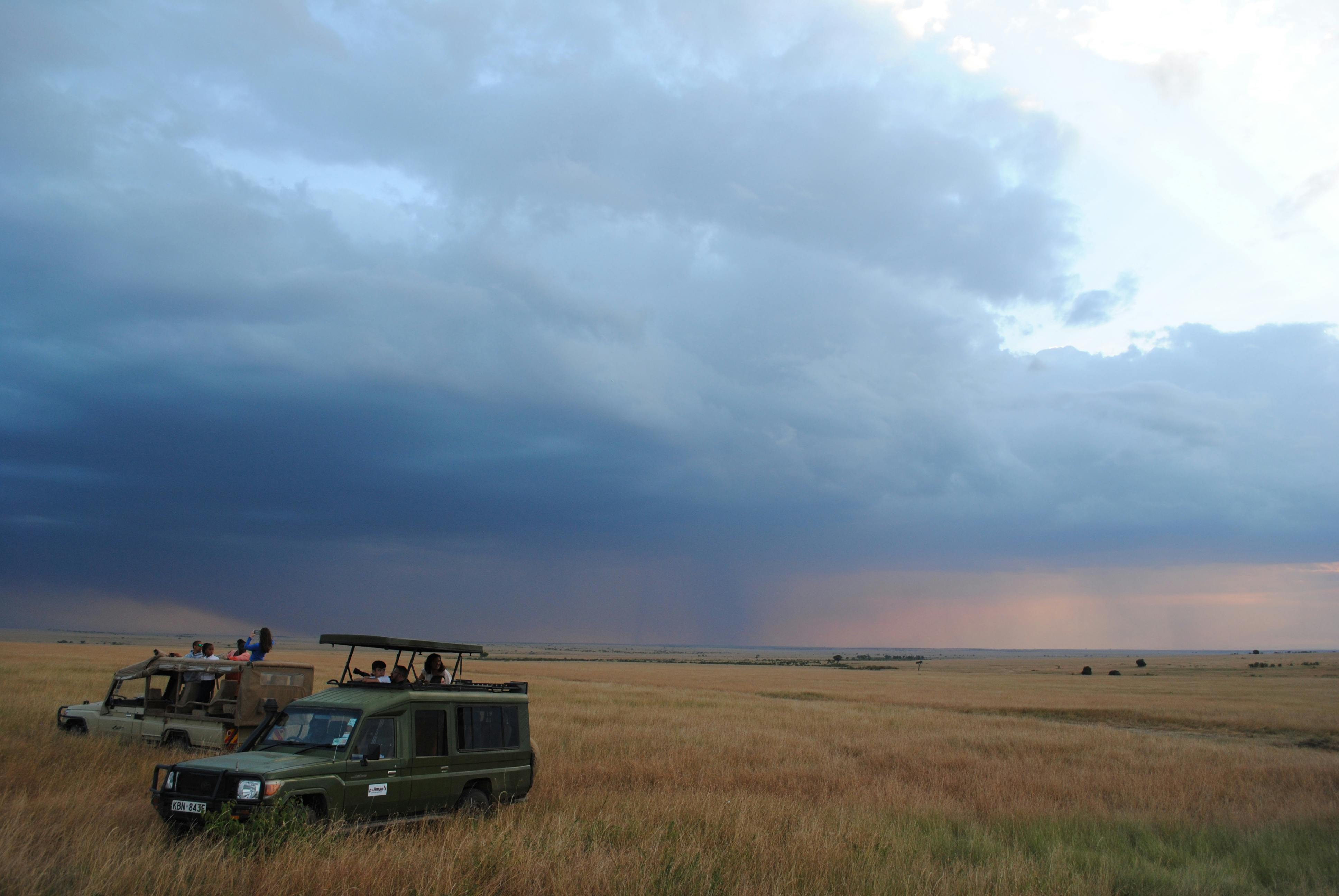 Free stock photo from Ria · Pexels