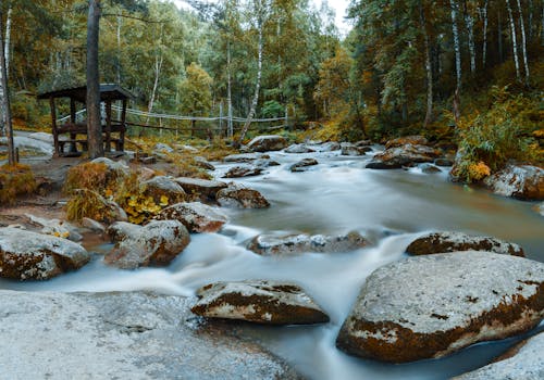 Free Landscape Photo of a River Stock Photo