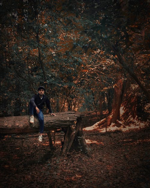 Man Wearing Black Sweater Sitting on Tree Trunk