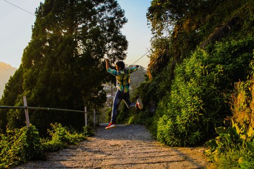 Free A young man jumps energetically on a scenic forest path during a sunny day. Stock Photo
