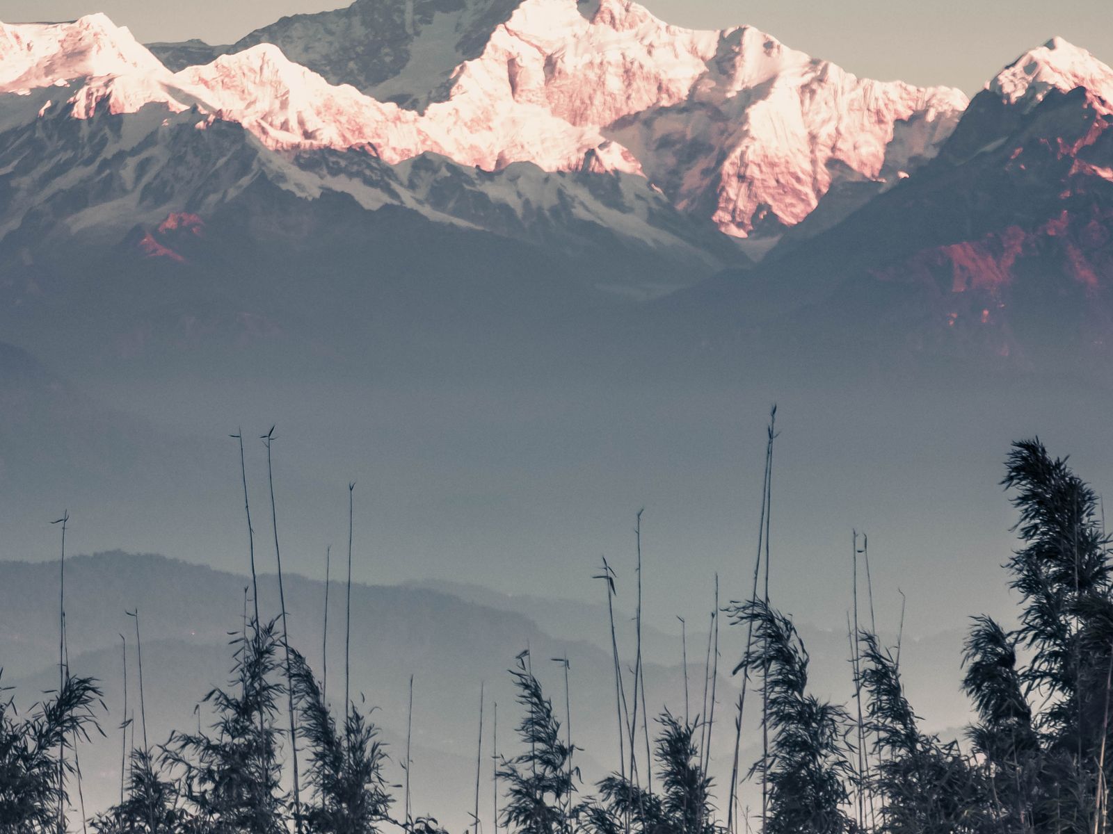 Darjeeling Gangtok Tour Package 5 Nights 6 Days