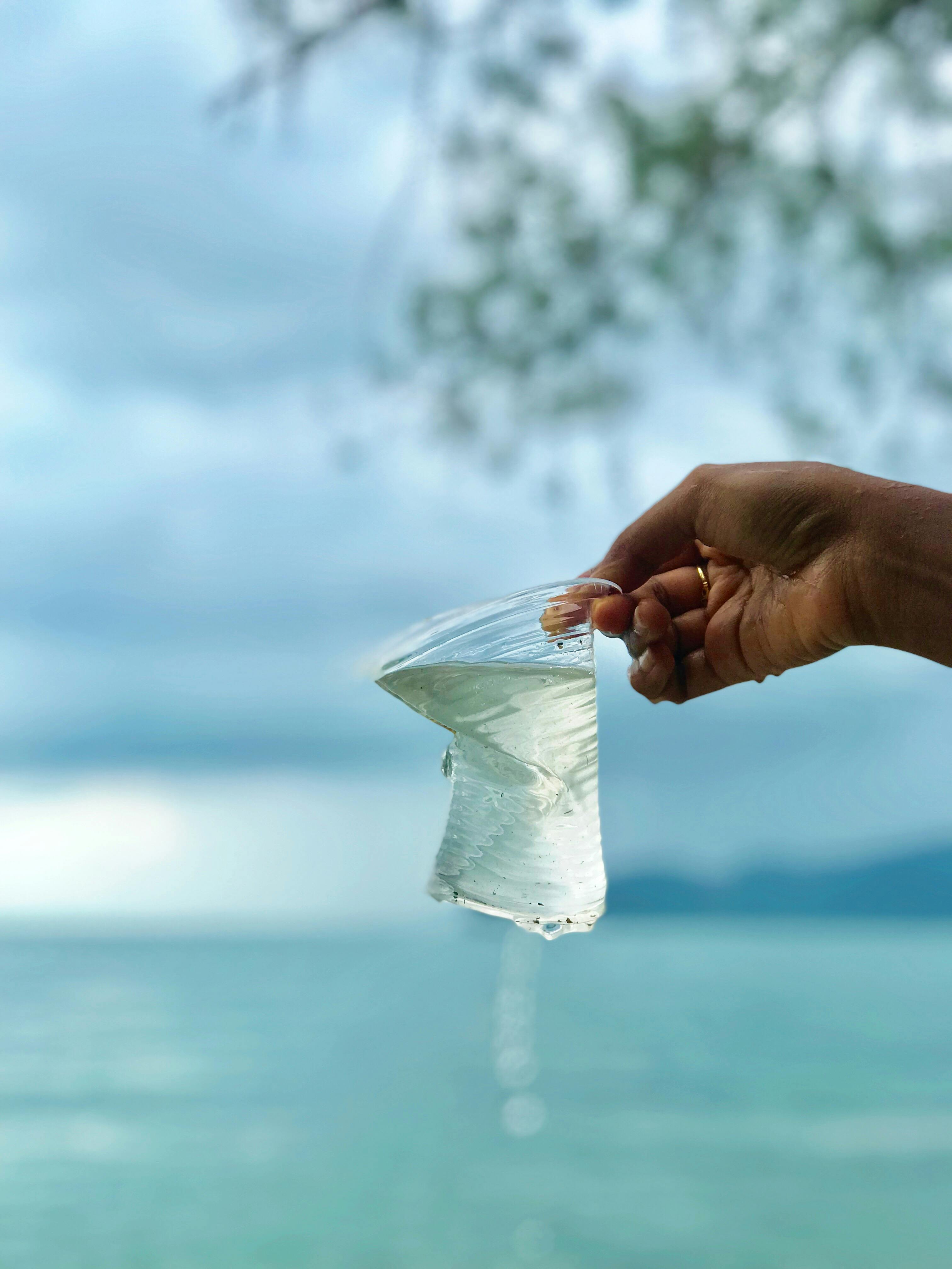 photo of person holding plastic cup with water