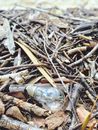 Close-Up Photo of Light Bulb on Twigs