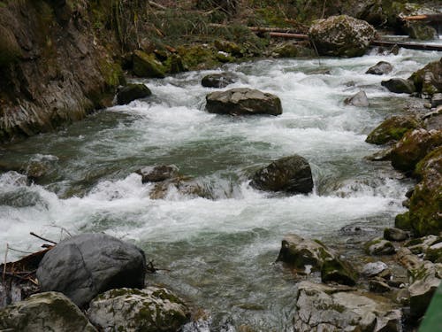 水, 河, 瀑布 的 免费素材图片