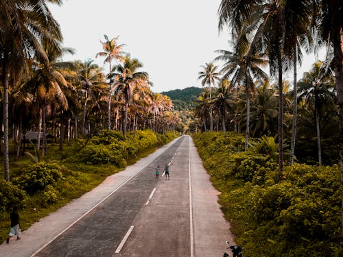 两人站在道路上的航拍