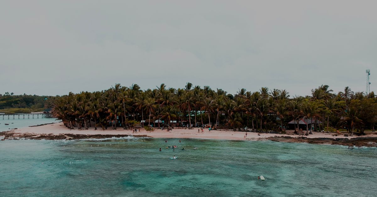 Photo of Tonga