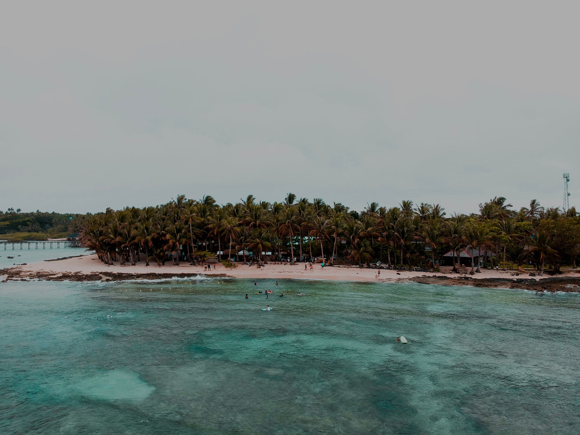 Explore the serene tropical beachfront with clear waters and lush palm trees in General Luna, Philippines.